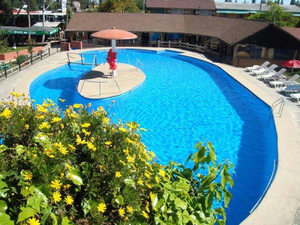 Piscina con quitasol central rodeada de flores